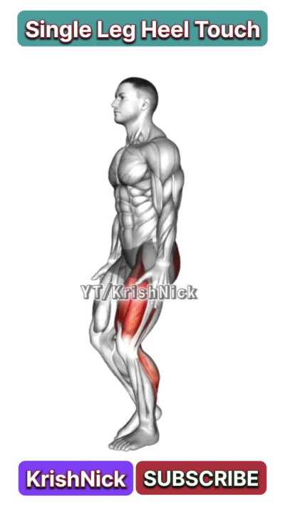 Single Leg Heel Touch Squats for Stronger Legs & Balance