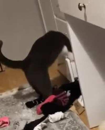 I hid her favourite treats