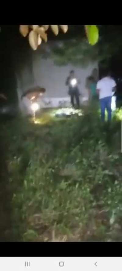 #URGENTE 🦁 Leon escapa de su jaula y mata a una persona. El Chal, Petén se les informa que el León que se encontraba enjaulado en el Turicentro Santa Isabel ha escapado y se desconoce su paradero.
