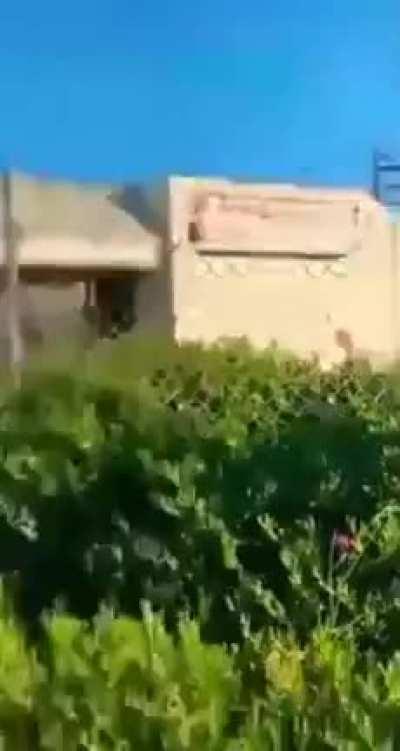 I don’t like where this is going.