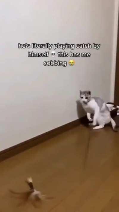 The cat tried to play the cat stick by himself.