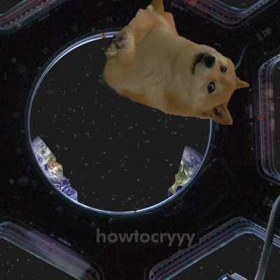 Cheems causes Human Extinction (OC). Doge is only the intelligent organism left.