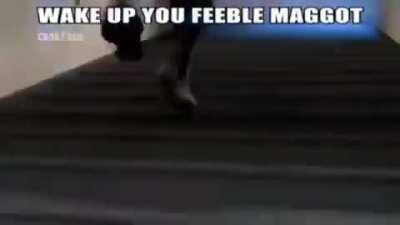 🔫😳 Insta de las minitas?