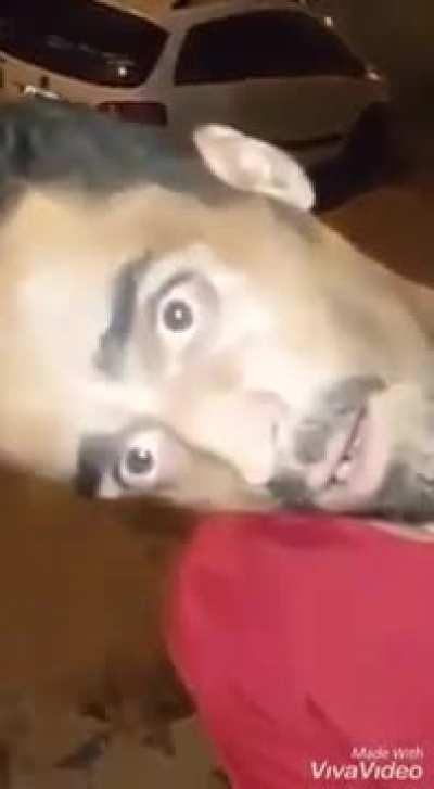 Ninja da aldeia da pedra