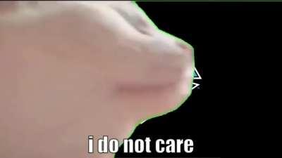 vibing feline also too long steam machine