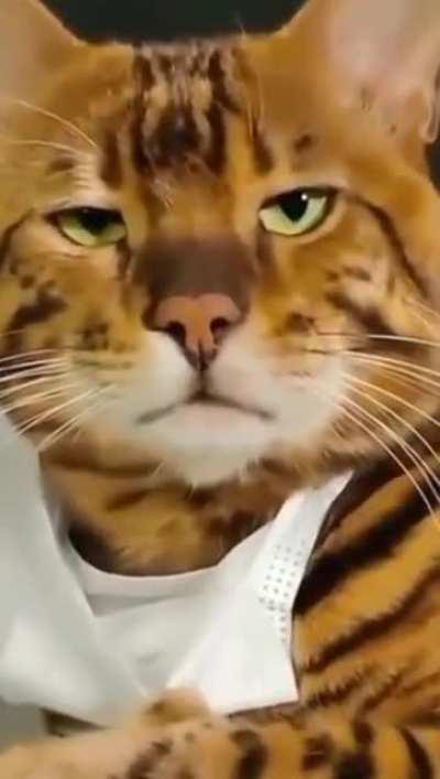 What are you looking at?