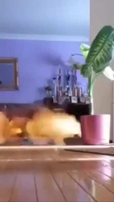 eu_nvr - Video #2504