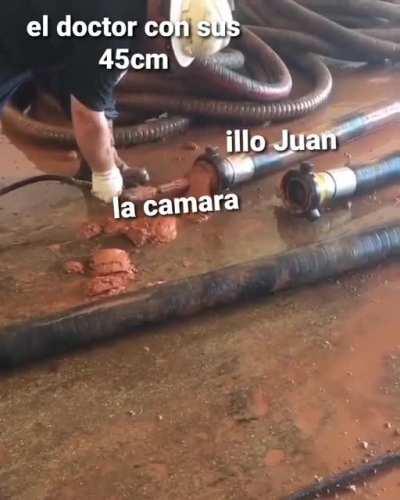 Simplemente el ano de illo Juan