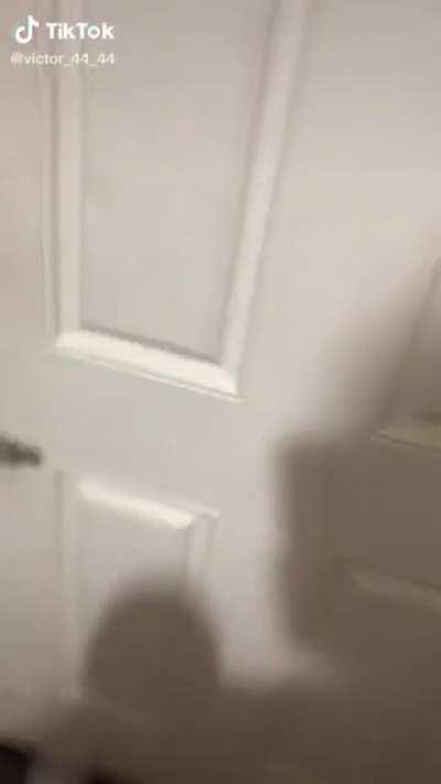 Wall Walker, Rejecter of Gravity, Defier of Physics