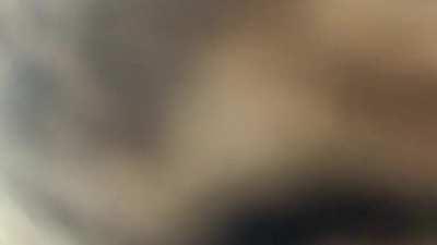 Adopted this puuurfect little lad