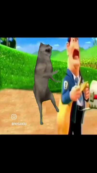 E o Paysandu q lançou essa ao vivo 