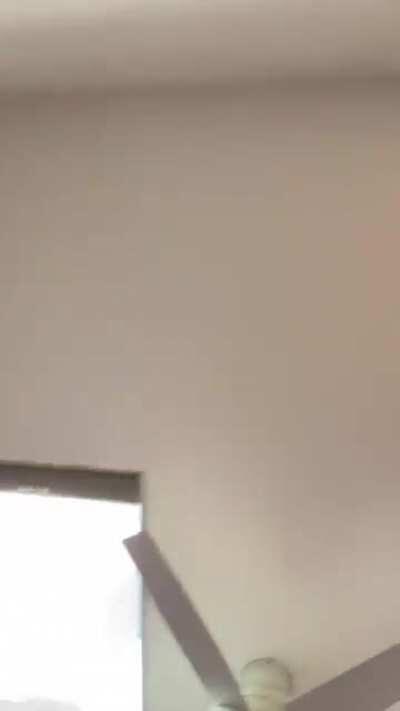 The Queens Gambit by Chris Martin (@ChrisMcomedy on Twitter)