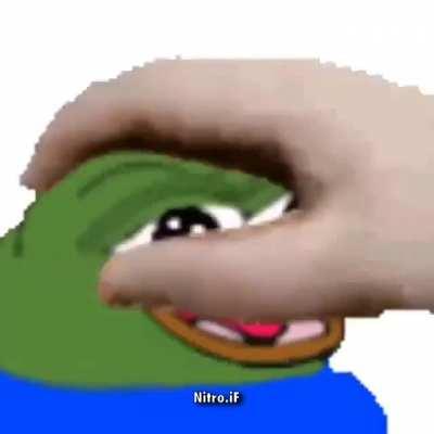 Não é meme mais um vídeo fofinho