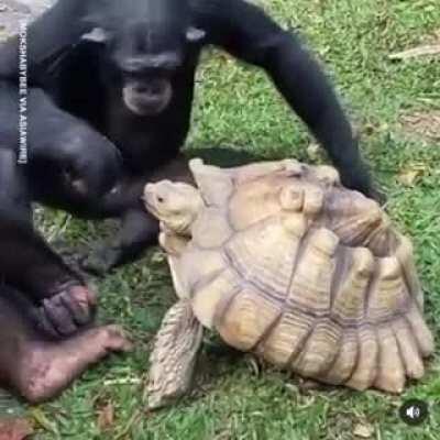 You want some bud...have it.