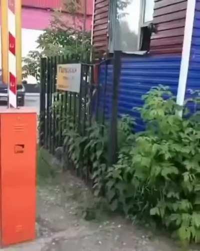 BeelcitosMemes - Video #5764