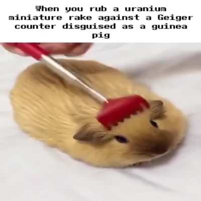 Wunky Geiger counter