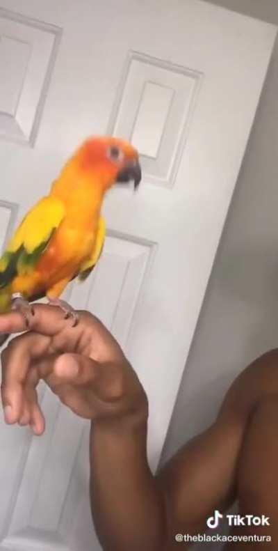 Found this on tiktok