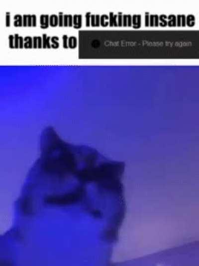 i'm literally going insane