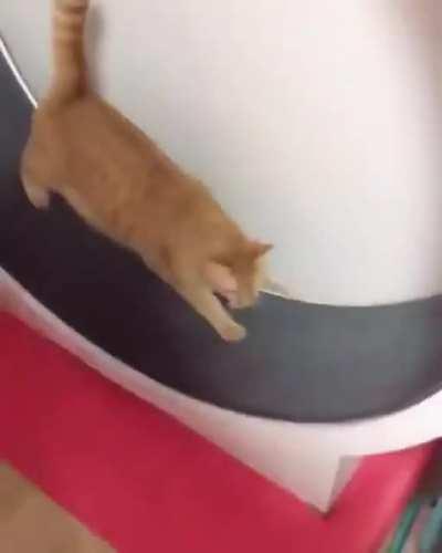 Exercise looks fun until you try it