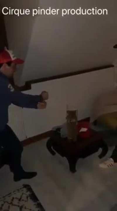 I‘m sure this makes regular rounds here but it made me laugh so I hope the same for you guys!