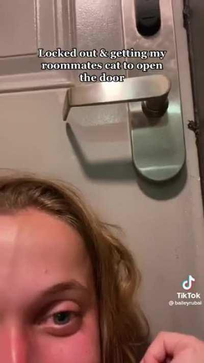 Lucky for her, her roommates cat used to be a pawksmith