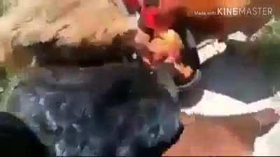 discord bullshit part2