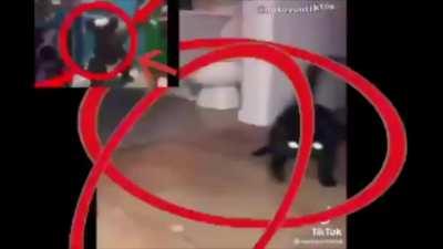 The 3rd Hexalogy (It's back again)