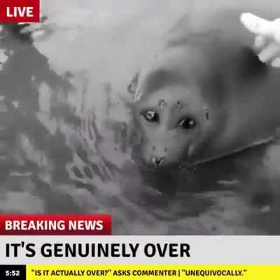 you have served your punishment of scrolling through r/196