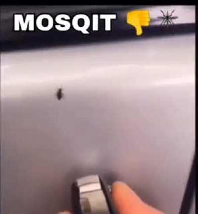 no mosqit 👎🦟