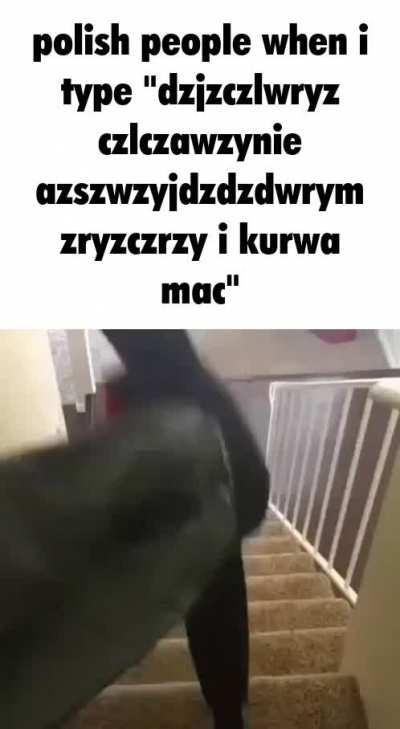 Polish people = 🤢