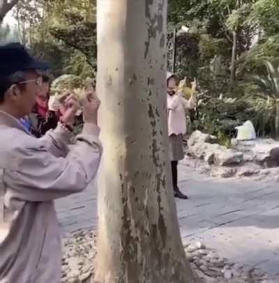 Филиал r/Pikabu в азии