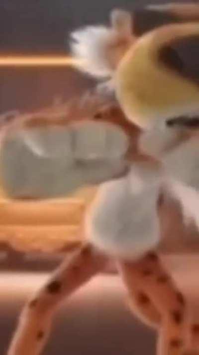 ESTILOZAP - Video #3700