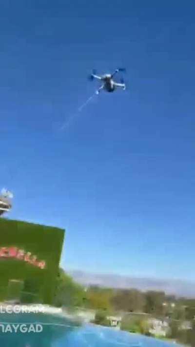 Как скучно я живу...