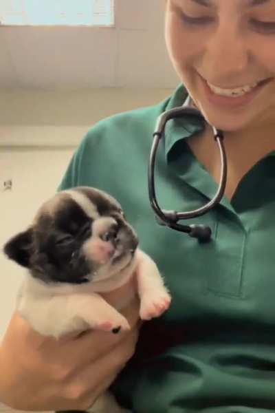 Puppy Taking Medicine for the first time