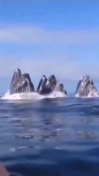 fascinating yet scary af