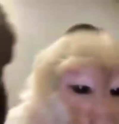 Nueva skin de orslok