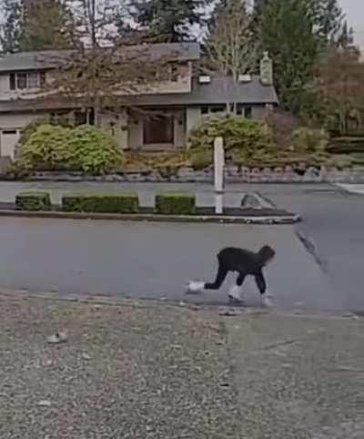 to steal a package and get in a car