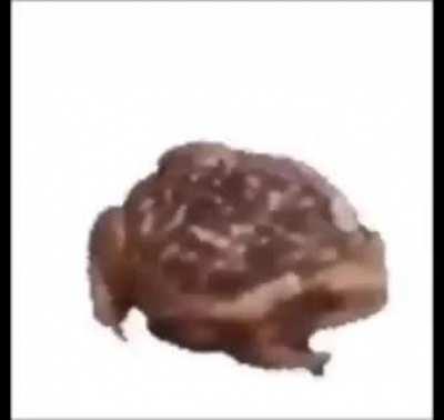 Funnymemeallah🤬😤😠🤬😠🤬😠🤬🤖👿🤖