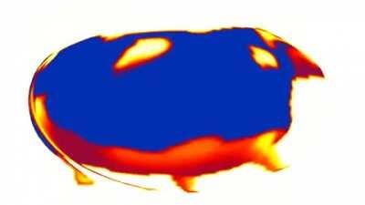 People after posting a selfie thinking they are gonna get a platinum