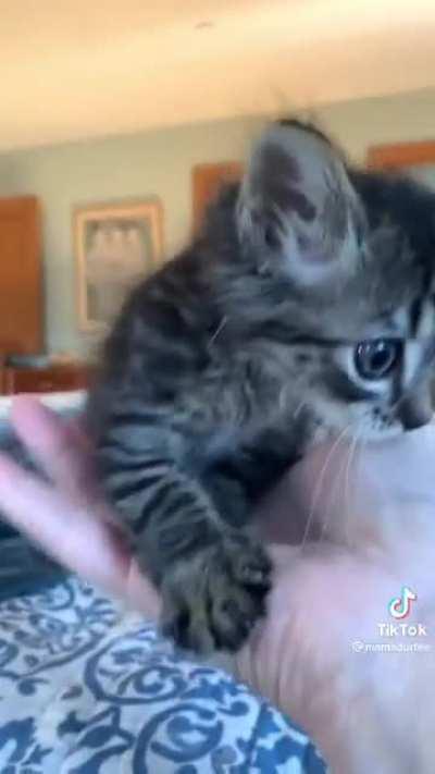 The quiet ones are the most dangerous!