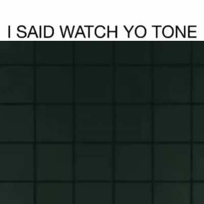 The Slugcats in a nutshell. by magpiepaw