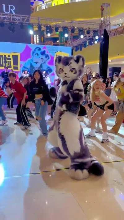 This professional dancer in fur suit