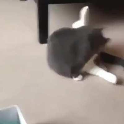 Ready at a moments notice