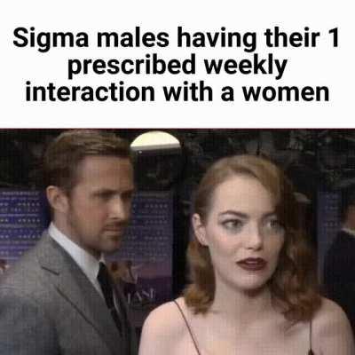 im something of a sigma male myself