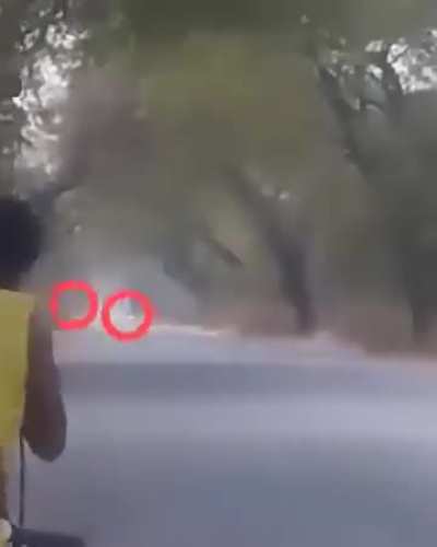 Anti-Junta Devil Battalion forces ambush and kill 3 Pyusawhti (pro-junta militia) in Monywa, Sagaing Region, Myanmar/Burma (2 enemies visible) [March 14]