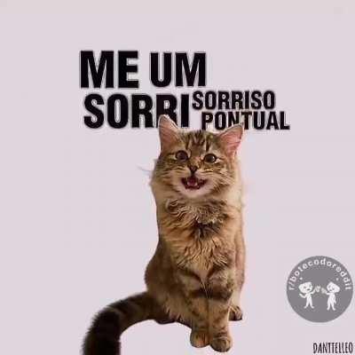 Bicho Buarque! (acessem o r/bichinhos)