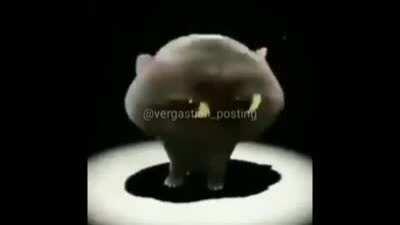 Pov:eres un máster de 600Q de memes