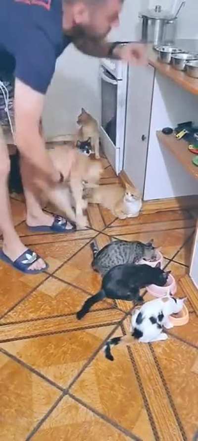 these wunks WILL queue up in an orderly manner 