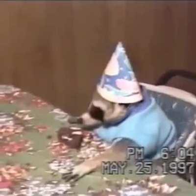 Raccoon Birthday Party