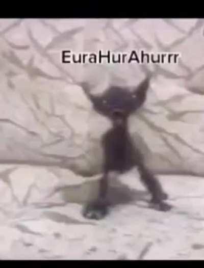 Is this the Krusty Krab?